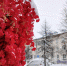 В Магадане -4, -7°C, весна уже здесь - Газета Магаданская правда