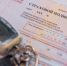 Пьяных водителей начнут отстранять от руля без лишних протоколов - MagadanMedia.Ru