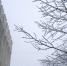 В Магадане -1, -5°C, туман пройдет - Газета Магаданская правда