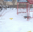 В Магадане -1, -5°C, ветер северный - Газета Магаданская правда