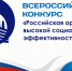 Всероссийский конкурс «Российская организация высокой социальной эффективности» - Центр культуры