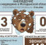 В Магаданской области проснулись медведи - MagadanMedia.Ru