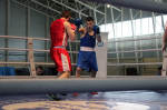 boxers 190426 9