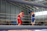 Boxers 190426 5