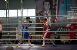 Boxers 190426 6