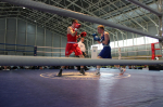 Boxers 190426 11