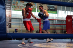 Boxers 190426 13