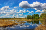 Лучшие фото Магадана Геннадий Григорьев