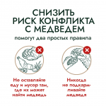 На Колыме с начала мониторинга медведи выходили к людям 144 раза