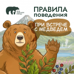 На Колыме с начала мониторинга медведи выходили к людям 144 раза