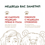 На Колыме с начала мониторинга медведи выходили к людям 144 раза