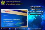 Цифровое исполнительное производство